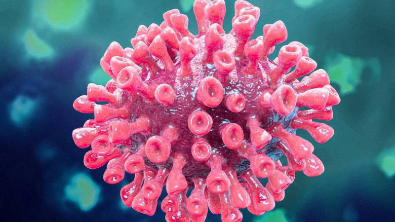 المطوية : تسجيل 37 اصابة جديدة