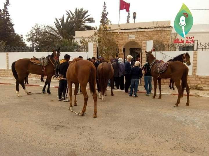 منزل الحبيب: مربو الخيول يطالبون بتوفير السداري