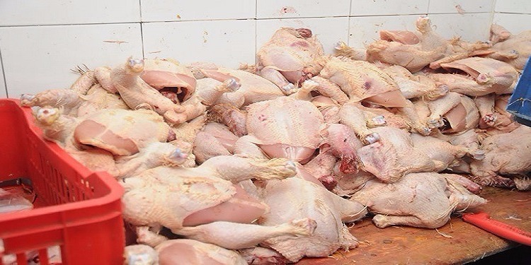 حجز كميات من لحوم الدجاج الفاسدة