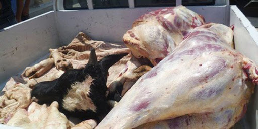 ساعات قبل رمضان: حجز كميات كبيرة من اللحوم الحمراء الفاسدة